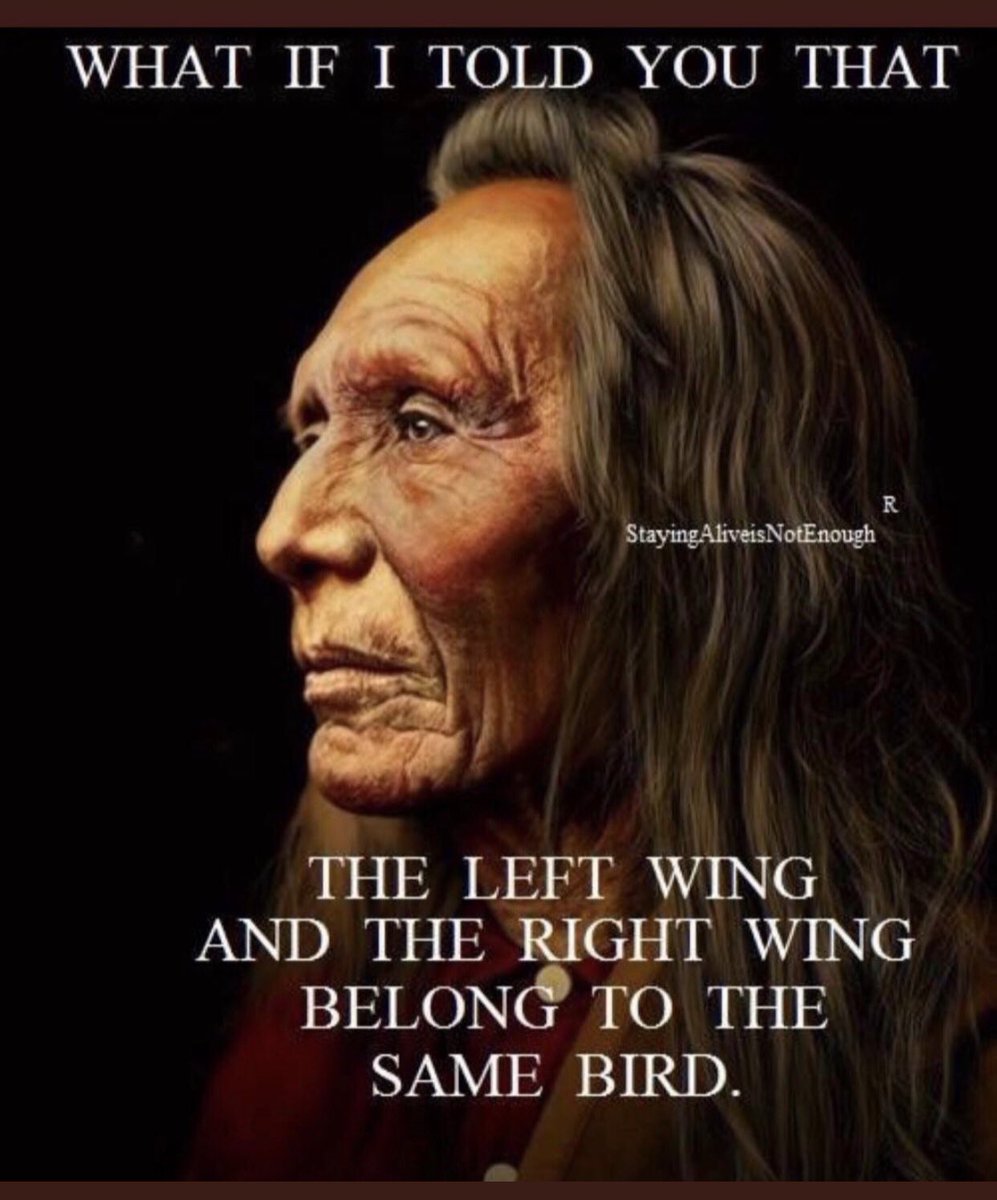 HanyaToderoff's tweet image. Gettr Link: gettr.com/user/ace_of_sp….  
✔️ “Birds of a feather flock together. Party Politics is one bird!  The toxicity levels to Canadians are dangerous to our human rights, freedoms, voices, and to our demands for accountability.&quot;