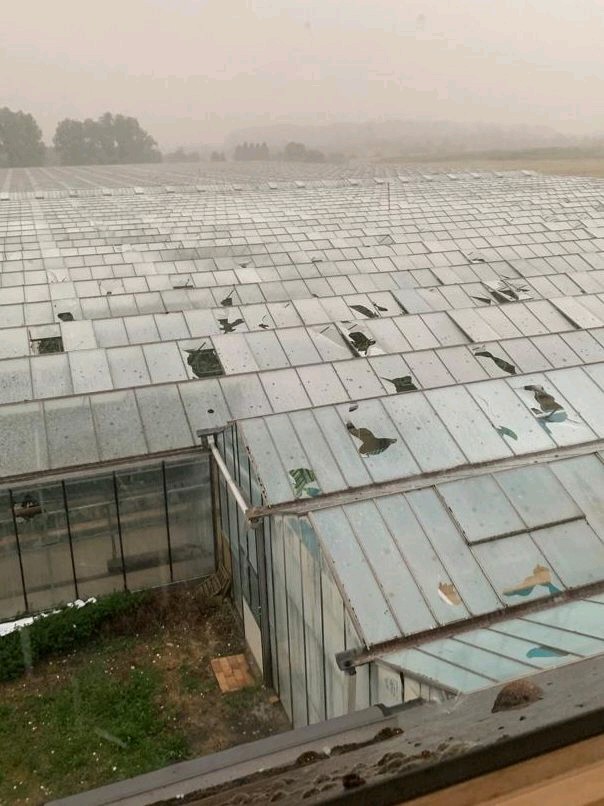 SergeZaka's tweet image. Je résume. Après avoir subit le gel tardif (avril), la sécheresse (janvier à en cours), l'echaudage (mai), la grêle (début juin), la canicule (mi-juin). Les agriculteurs vont subir un nouvel épisode marqué de grêle.
Les dégâts sont déjà constatés dans le Loiret.
📸COPA SAS