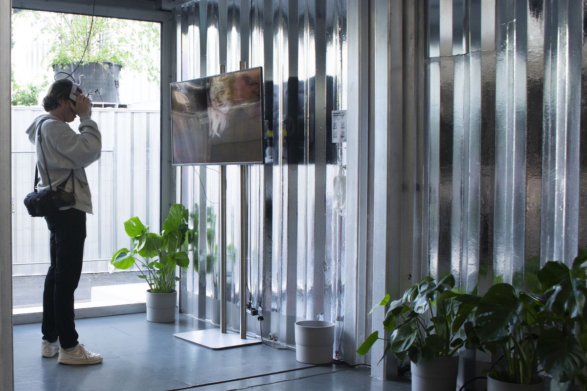 Vermibus tweet media