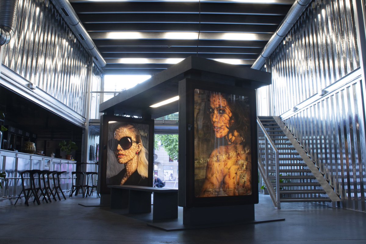 Vermibus tweet media