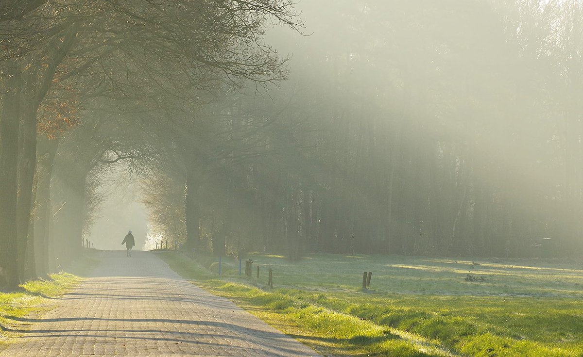inde8erhoek's tweet photo. Zonnestralen in Kotten.

#achterhoek #gelderland  #jedoethetindeachterhoek #jedoethetinde8erhoek #Zonnestralen #Kotten  
Foto's Willie de Vries https://t.co/RG5nV3mTDE