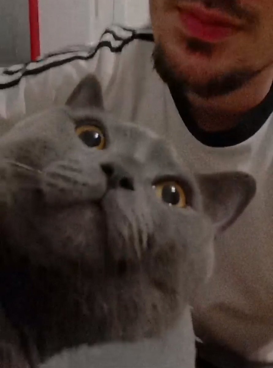 Detto Fatton tweet media