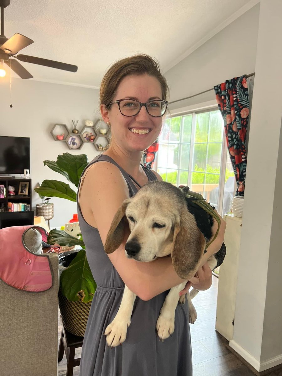 Put your paws together for senior beagle Rose who was adopted today!! 🐾 ❤️