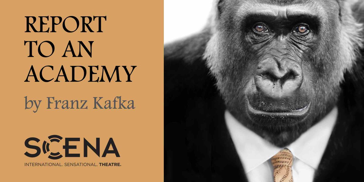 SCENATHEATRE's tweet photo. FREE Theatre at @GoetheDC June 27 & @dcartscenter on July 1. “Report ...” is a riveting, 1-man show on animal rights. See Robert McNamara's bold play before it heads to Europe. RSVP: https://t.co/UD18nwN9Ub #animalrights #animalabuse #vegetarian #dctheatre #dcplay #freeindc https://t.co/1LFk2STVvS