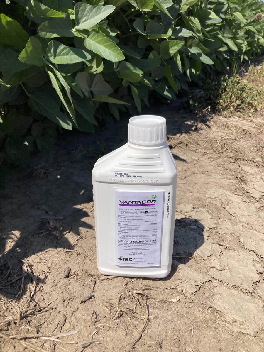icecream_ground's tweet image. Good things come in small packages.  Vantacor insect control is a low use rate formulation of highly concentrated Rynaxypyr that provides long  lasting control of Lepidoptera pests. @FMCAgUS #Rynaxypyr #Vantacor