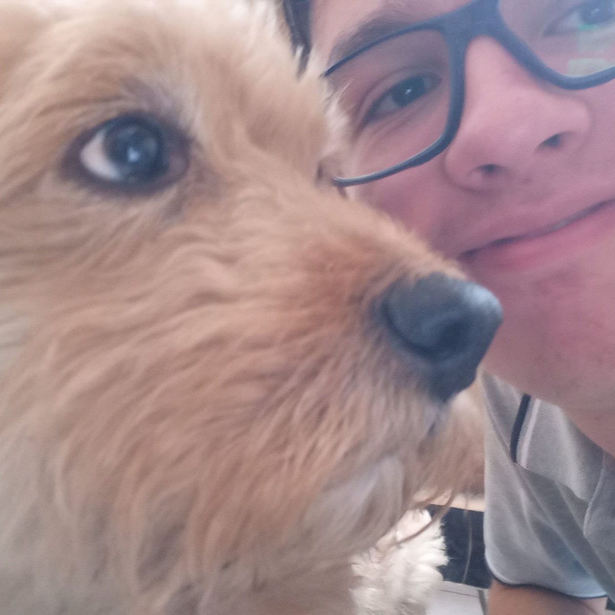 Daniel40337274's tweet photo. Amo a mi perro https://t.co/TMoNucCfMJ
