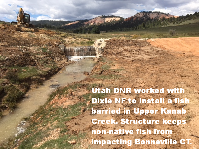 thesnowbirds's tweet photo. #LeftForkFire threatening Upper Kanab Ck. a native Bonneville Cutthroat stream. Upper Kanab flows N & into East Fork of Sevier. @UtahDNR, @TroutUnlimited & @usfsdnf put lots of $$, time & Heart in restoring CT's to Upper Kanab. (Story for @brian_schnee!)
https://t.co/JHk5DfJE8I https://t.co/wCPIa2bdZO
