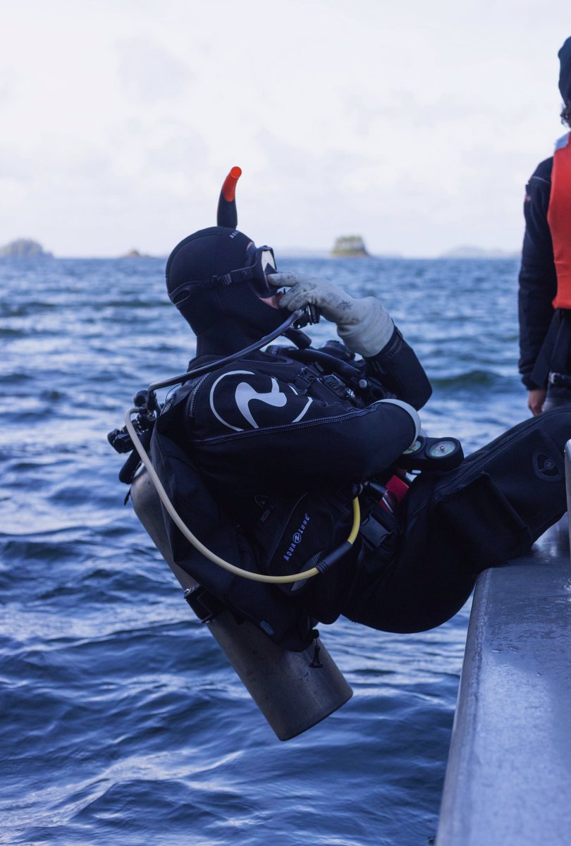 bickell_andrew's tweet photo. Officially a CAUS certified scientific diver! Super stoked to be starting my subtidal science journey with the Coté lab this summer 🌊🤿 https://t.co/JACvVnC7OG