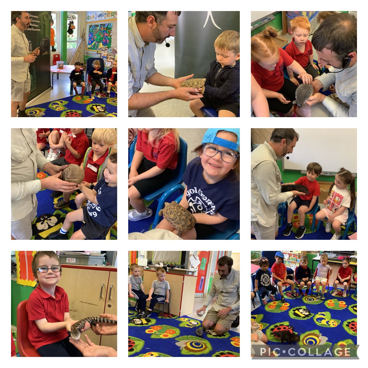 YbeMeithrin's tweet photo. Cawsom ddiwrnod arbennig yn dysgu am a chwrdd ag anifeiliaid anhygoel!Diolch @AandSencounters. We loved learning about and meeting some incredible animals today! https://t.co/Mt5VGwSg3L