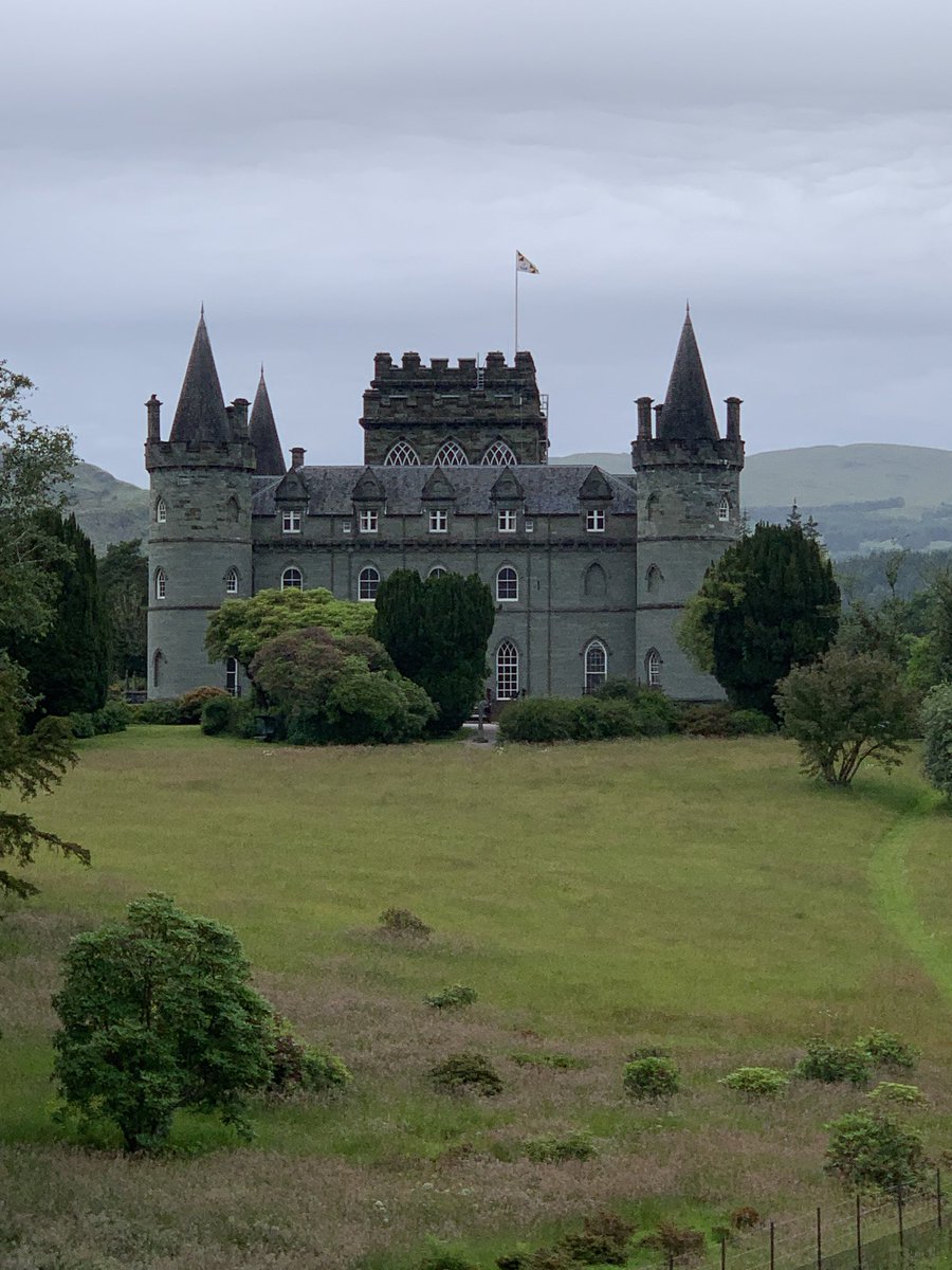 Lynn Spina tweet media