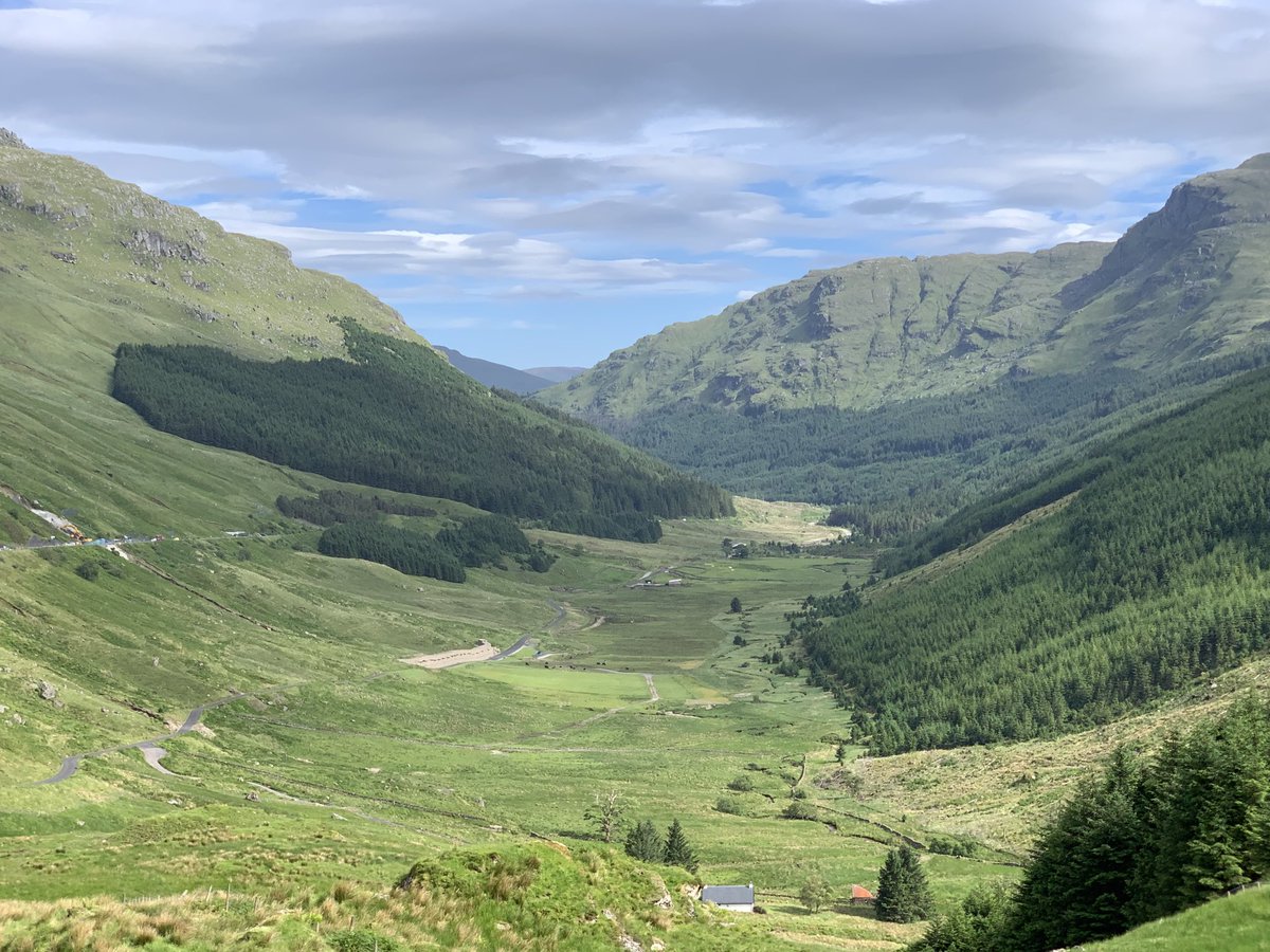 Lynn Spina tweet media