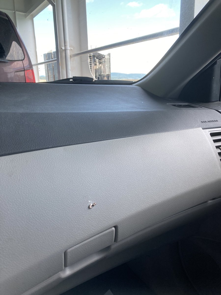 potatokitty's tweet image. Soooo at some point waiting in line/getting on this here ferry a birb decided to come inside AND poop on my dash?! How did I miss this poop ‘n dash?! #HowRude #Nature