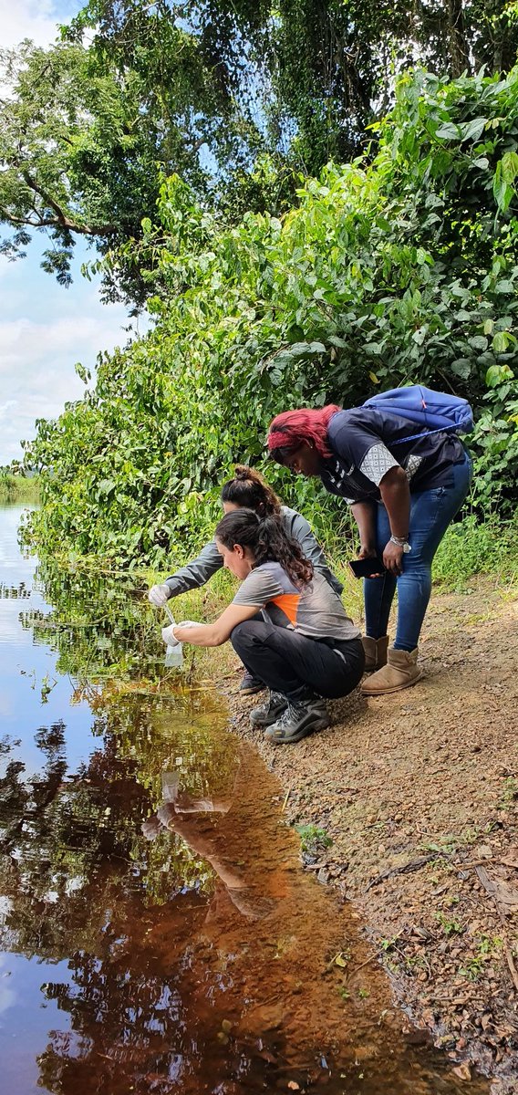 hydro_corsica's tweet photo. How to combine safe access to #water resources and good #health conditions of populations in complex tropical #wetland areas of #cameroon ? New exciting project of @UnivCorse and @UBuea along #nyong River course #akonolinga 
@Lab_SPE @UrBioscopeCorse https://t.co/NQpOsCEnfU