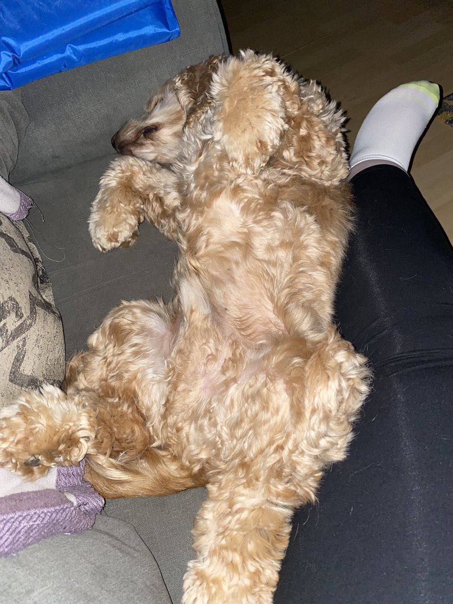 Humfthecocker's tweet image. My forts on Love Island 🏝