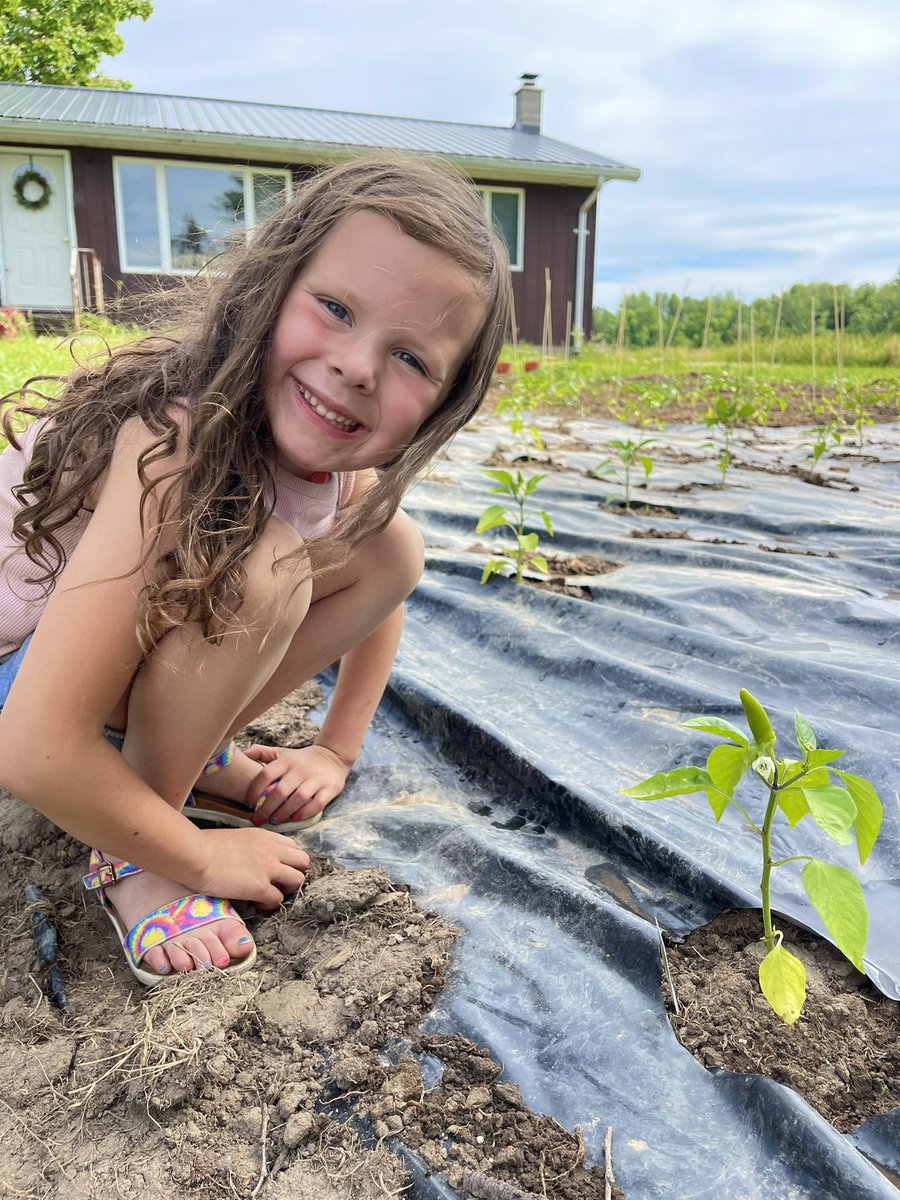 harttaylor_'s tweet photo. Proud of our little family
We have taken up a couple new hobbies in the last couple of weeks and all I can say is, man it’s rewarding! 
From learning how to make jam and canning to our little garden that’s already starting to have peppers form! 
All things we do as a FAMILY 💕 https://t.co/BEA8HK7wGD