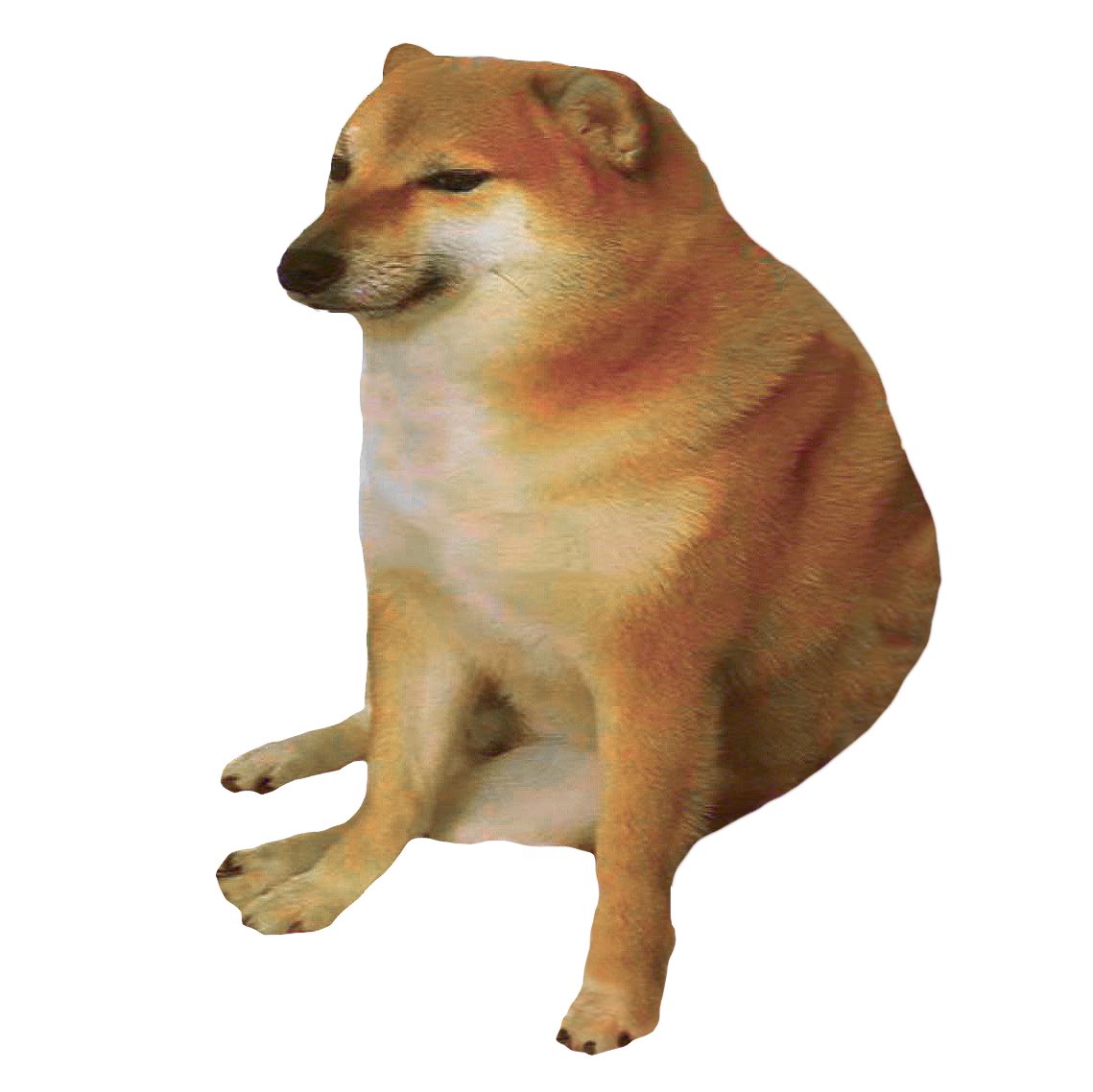 ownthedoge's tweet photo. @elonmusk Cheeems https://t.co/U0RriZ8YBK