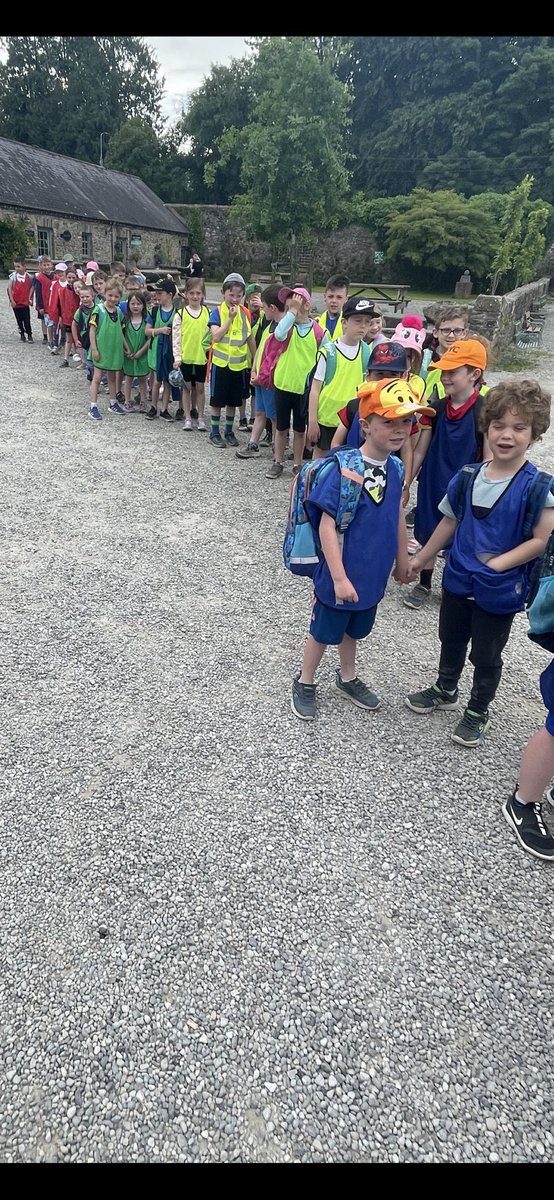 MsDDoyleBNS's tweet photo. We had so much fun on our school tour to Castlecomer last week. We did high ropes, bouncing nets, became bug dectectives🔍 and lots more @BallaghkeeneNS @AmandaHanrahan5 https://t.co/W2rdjmed2C