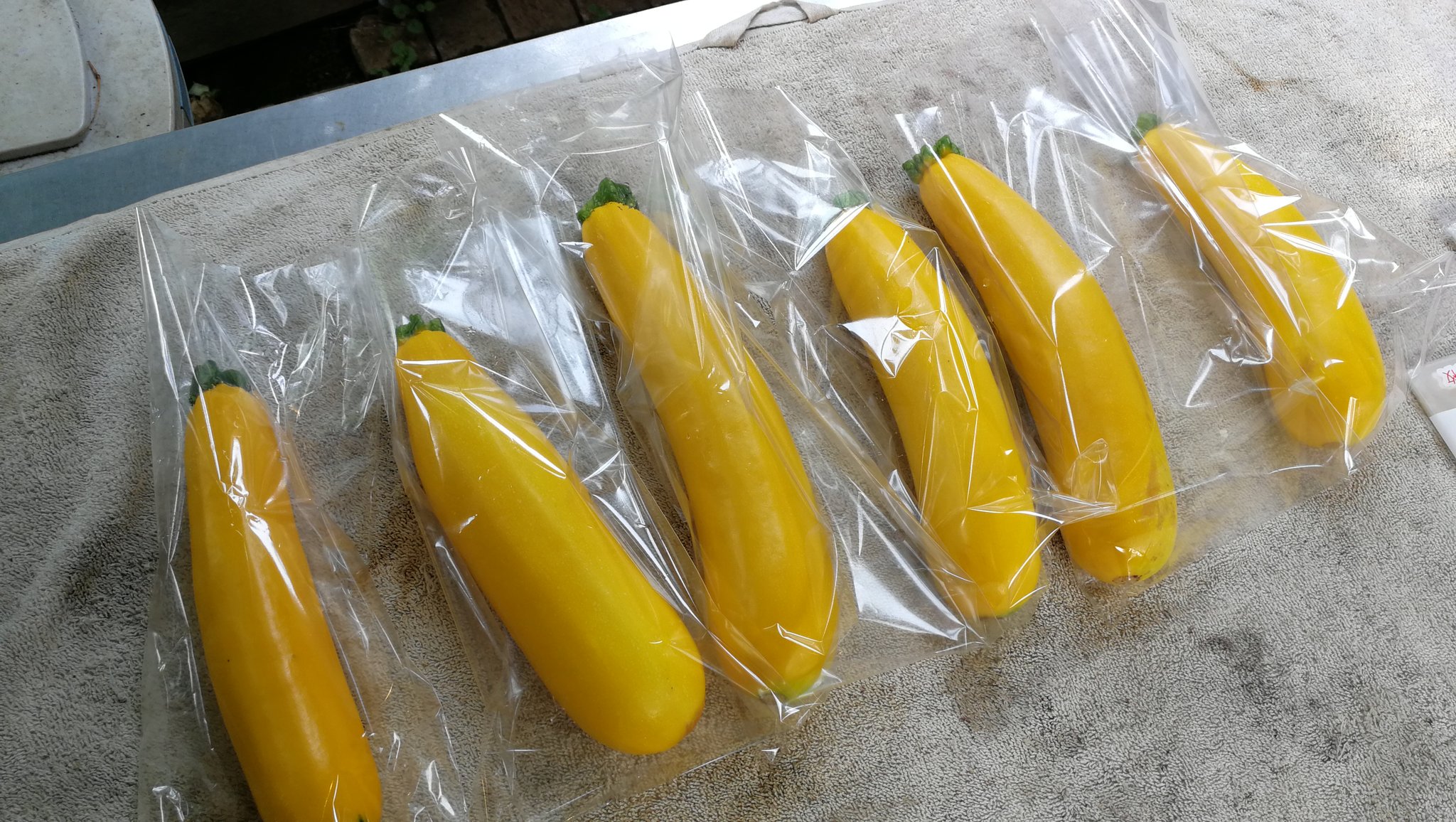 青木俊 菜園場 黄色ズッキーニ 色鮮やかな野菜は見栄えが良いですよねー T Co S4entnl2 Twitter