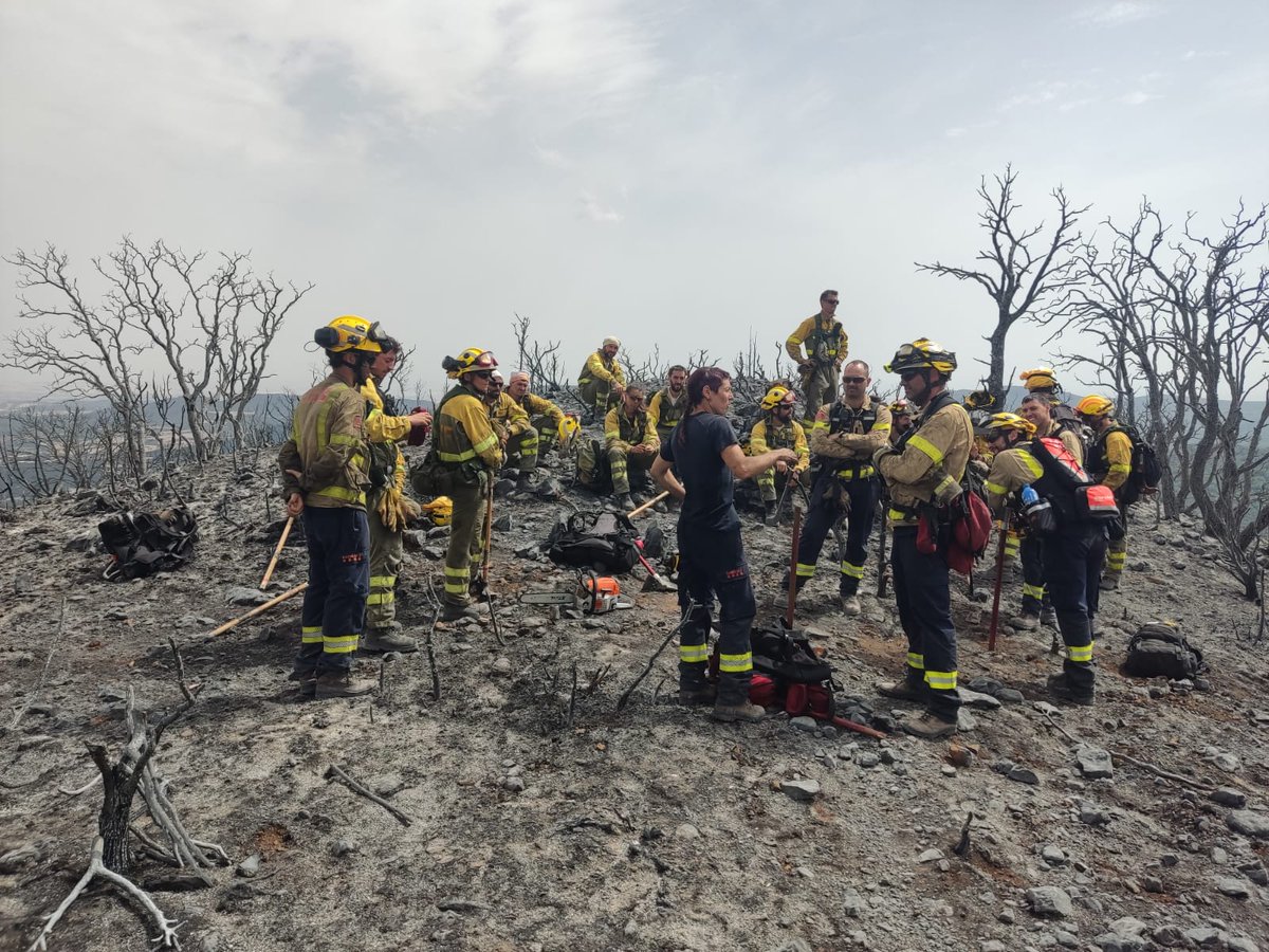 AT_Brif's tweet image. 🔴PARTE DE INTERVENCIÓN 20/06/22➡️3 #BRIF de @mitecogob han intervenido en 5 #IIFF

🔥#IFCastejónDeTornos TE
👨‍🚒@BrifDaroca RD
👨‍🚒@BRIFpradotwit RD

🔥#IFLegarda NA
👨‍🚒@briflubia

🔥#IFUjué NA
👨‍🚒@BRIFpradotwit
👨‍🚒@BrifDaroca

🔥#IFArtesaDeSegre LL
👨‍🚒@briflubia RD
📸Team BRIF Lubia
➡️