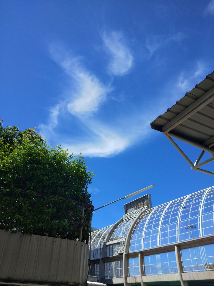 coldtodry's tweet photo. https://t.co/R7wsM15A1d