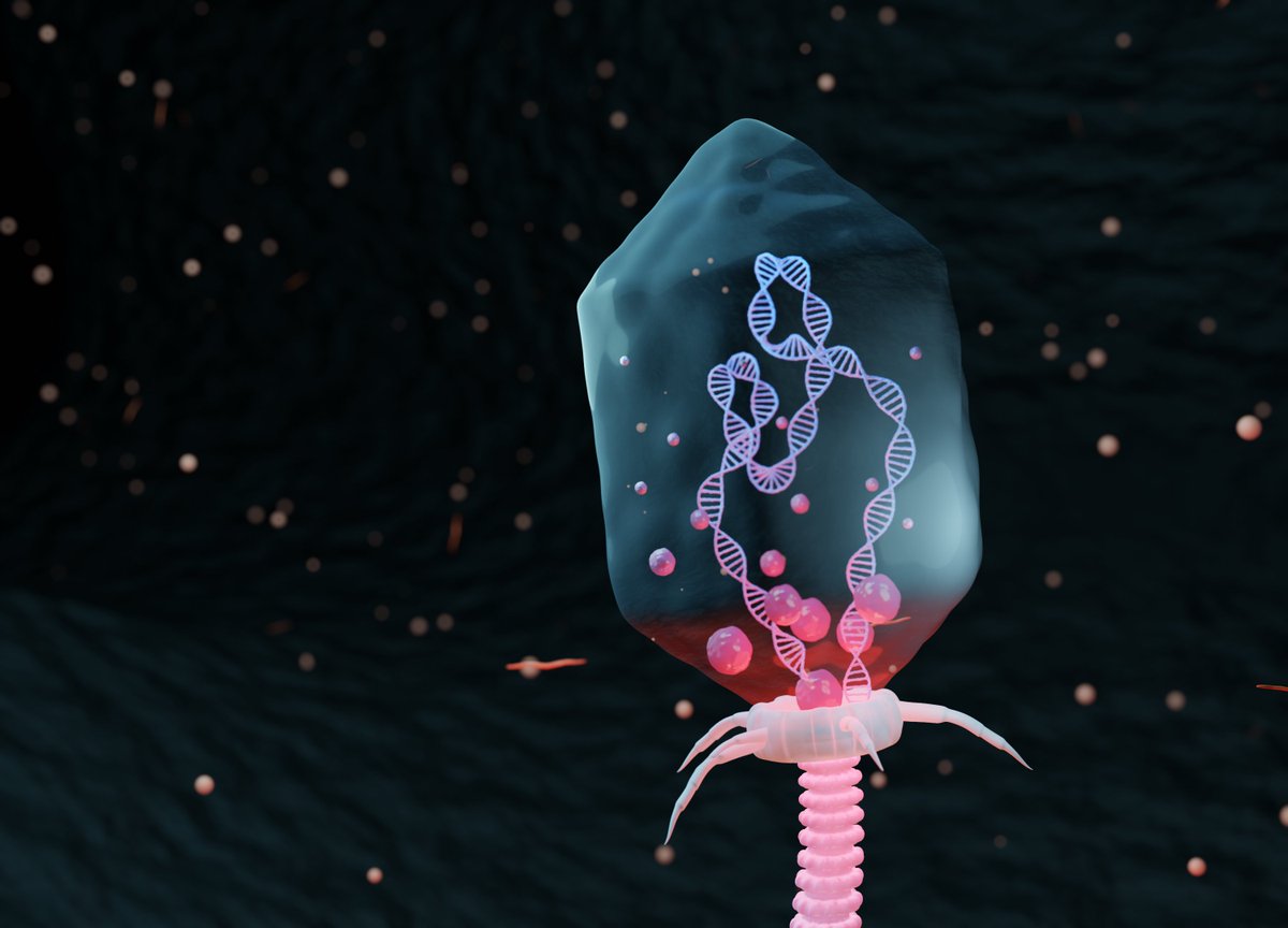 cellinedesign's tweet photo. Bacteriophage, a virus that kills bacteria but is harmless to human
https://t.co/0mC5Fc04YC

#SciArt #GraphicDesign #Science #b3d #sciencedesign #scicomm https://t.co/ApoiKsUmx7