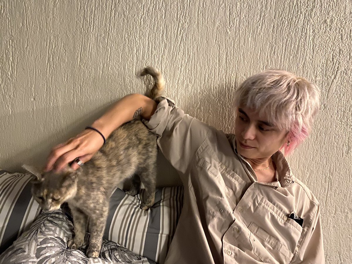 Kiki / Mikayla tweet media