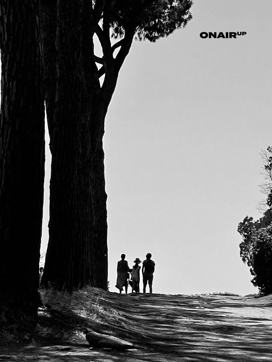 onairup's tweet photo. Life!
—
#Palatino #Roma #dayphotography #park #Coliseum #Italy #day #shot #family #Legacy #Lights #photo #photooftheday #instagood #painter #photopaint #poetry #photography #love #care #inspiring #inspiration https://t.co/dtJdVWIich