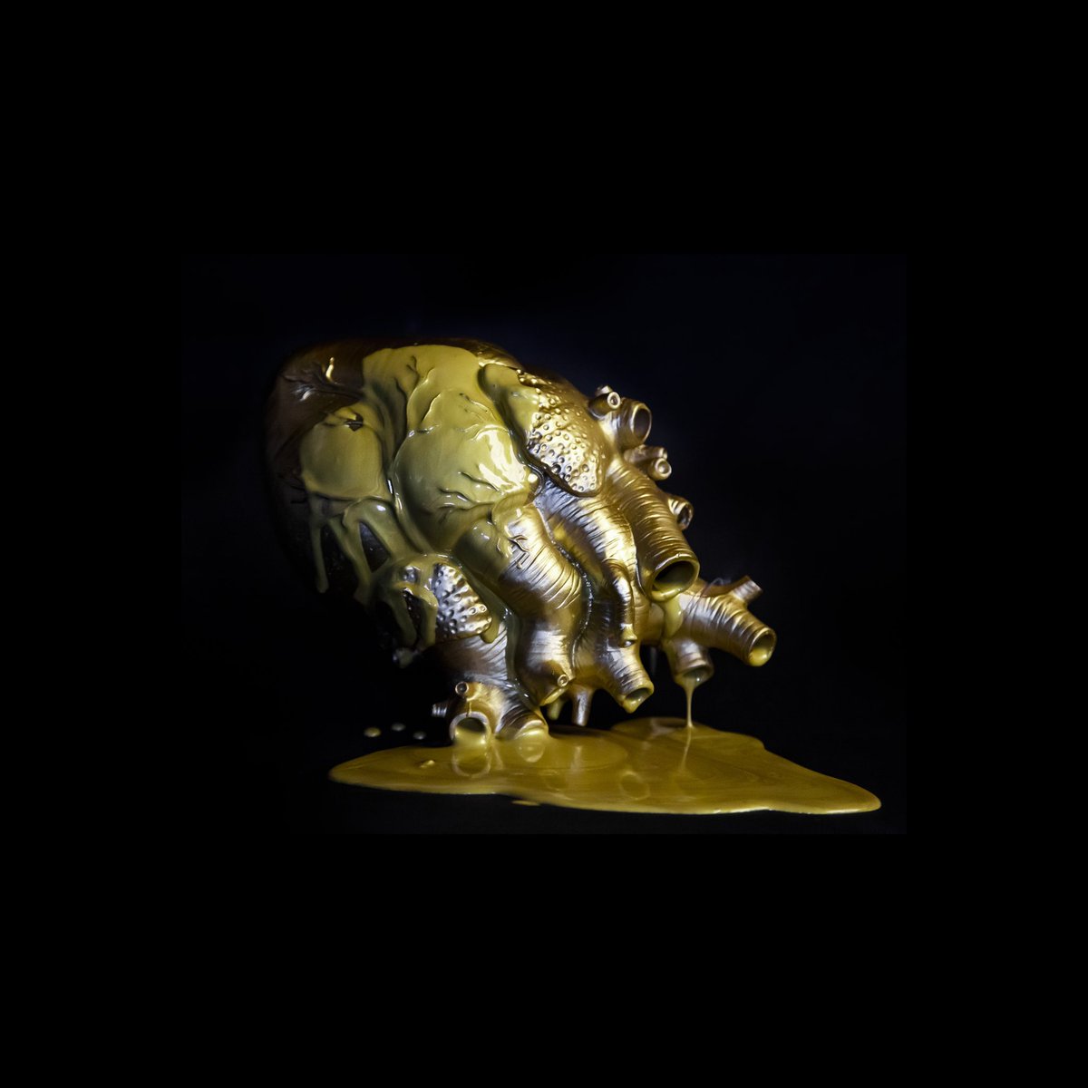 NONE OF YOUR CONCERN tweet media