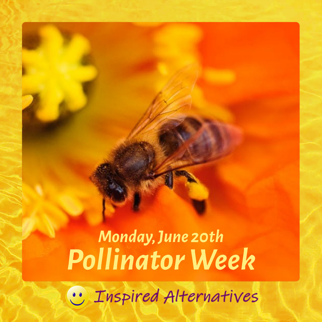 Alex_Brandin's tweet photo. “... bees provide a win-win situation with their actions... I suppose we could all take a lesson from them.”
- Jay Ebben, Painted Hives 

#Pollinator #PollinatorWeek #Bees #Nature #Hive #GuardinsOfGaia #PlanetaryHealing #WinWin #NatureHealing #InspiredAlternatives #ActiSync https://t.co/ExH92mGz8h