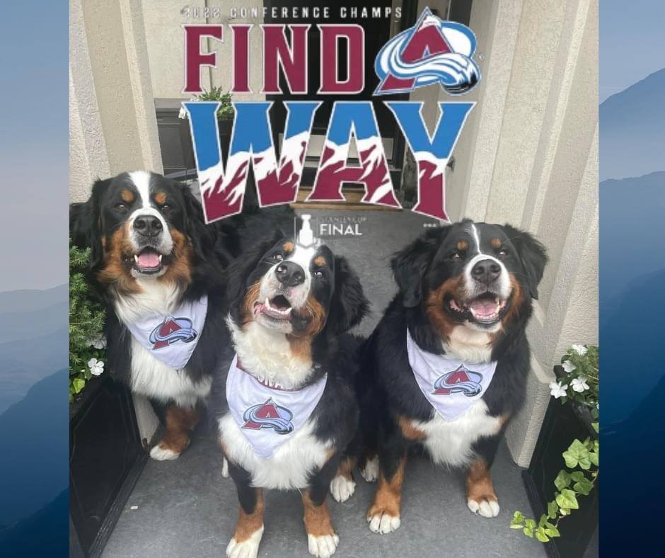 LLC712's tweet photo. @Avalanche @Cigna #GoAvsGo https://t.co/XZc04COykX