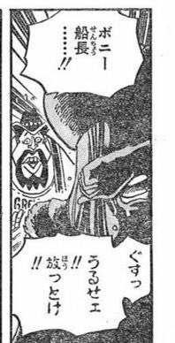 Onepeace Mn ナミはエースと双子説 2歳差と言われているが ルージュの親友 ジュエリーボニーの能力によって年齢を誤魔化して世間にバレないようにした 泣いた理由も親友の子供 または叔母 だからだった ワンピース 考察 ワンピース考察