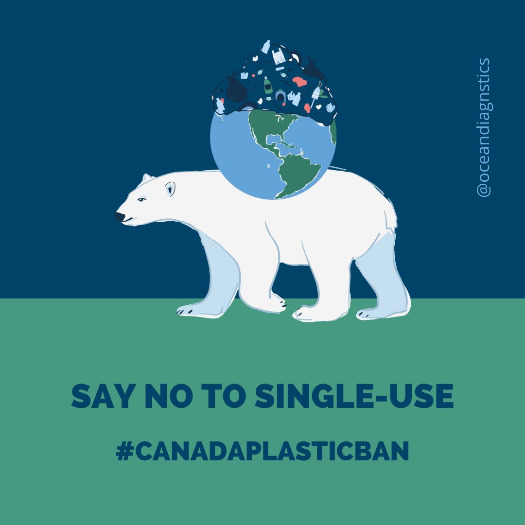 Today, the Government of Canada published final regulations to prohibit the manufacture and import of harmful single-use #plastics. This ban is one of the first national restrictions of its kind in North America.

ow.ly/oJh150JBSJJ

#CanadaPlasticBan #BeatPlasticPollution