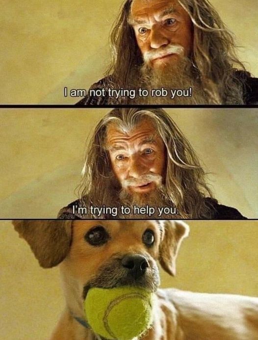Respectful Memes (@respectfulmemes) on Twitter photo 