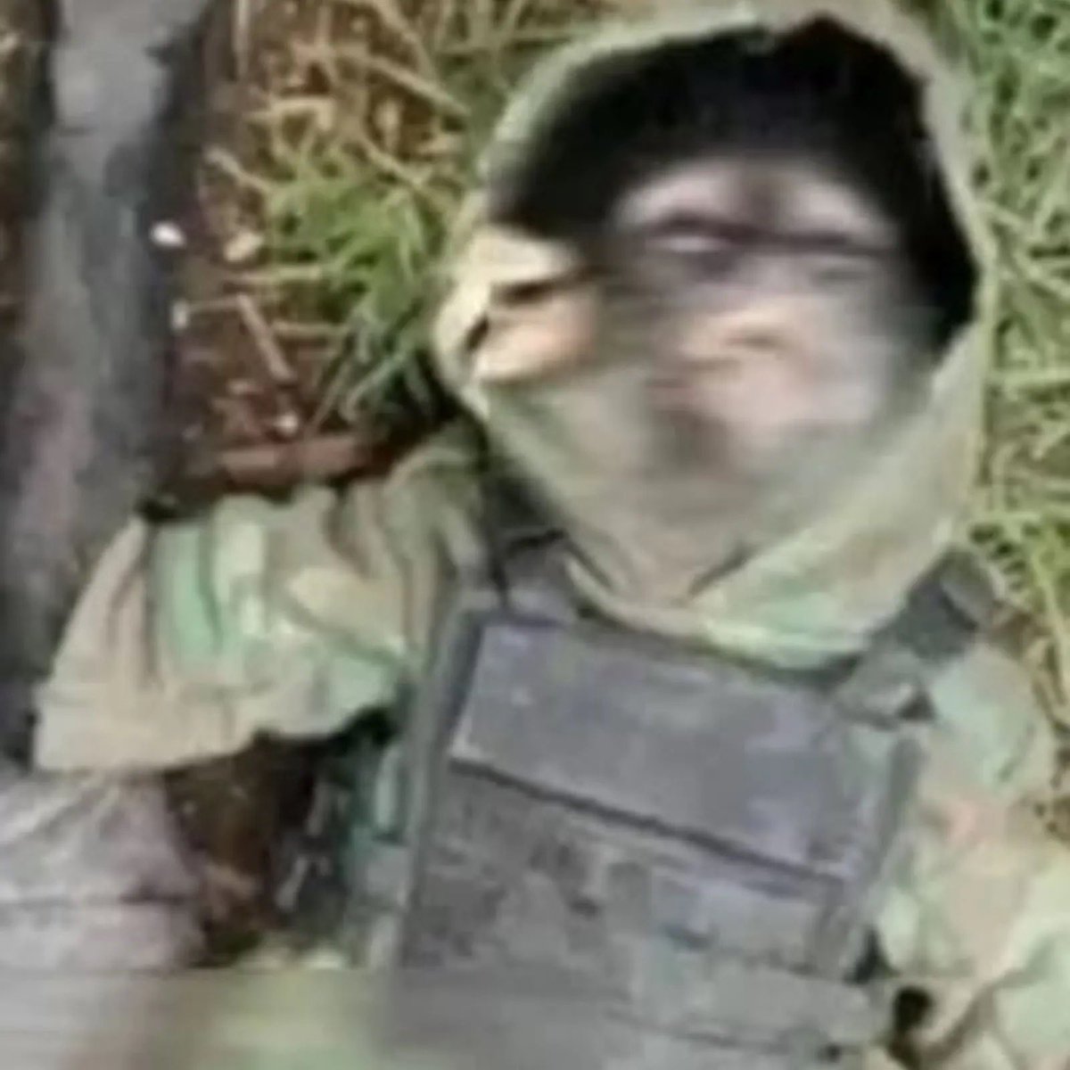 Gulch is dropping a cover song tonight at 9:00 pst. Recorded it last year and I’m stoked to finally have everyone hear it. Monkey Gone To Heaven. RIP.