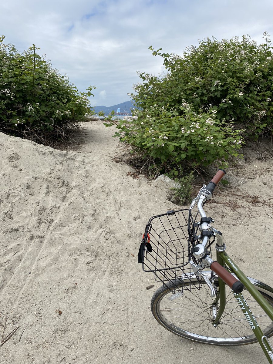 Kayla Cropper (@kcropper7) on Twitter photo A great Day 1 at the Summer Institute for Sustainable Health Systems #SHSInstitute 🌿 learning about the ties between social and environmental health determinants in relation to health equity. Had a beautiful commute to <a href="/UBC/">University of British Columbia</a> to top it all off! <a href="/ELESHCanada/">ELESH</a> <a href="/cascades_en/">CASCADES_en</a> A great Day 1 at the Summer Institute for Sustainable Health Systems #SHSInstitute 🌿 learning about the ties between social and environmental health determinants in relation to health equity. Had a beautiful commute to <a href="/UBC/">University of British Columbia</a> to top it all off! <a href="/ELESHCanada/">ELESH</a> <a href="/cascades_en/">CASCADES_en</a>
