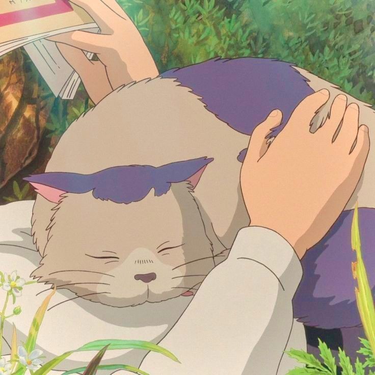 softdeIicacy's tweet photo. ghibli cats <3 https://t.co/Ga7gpDfur3