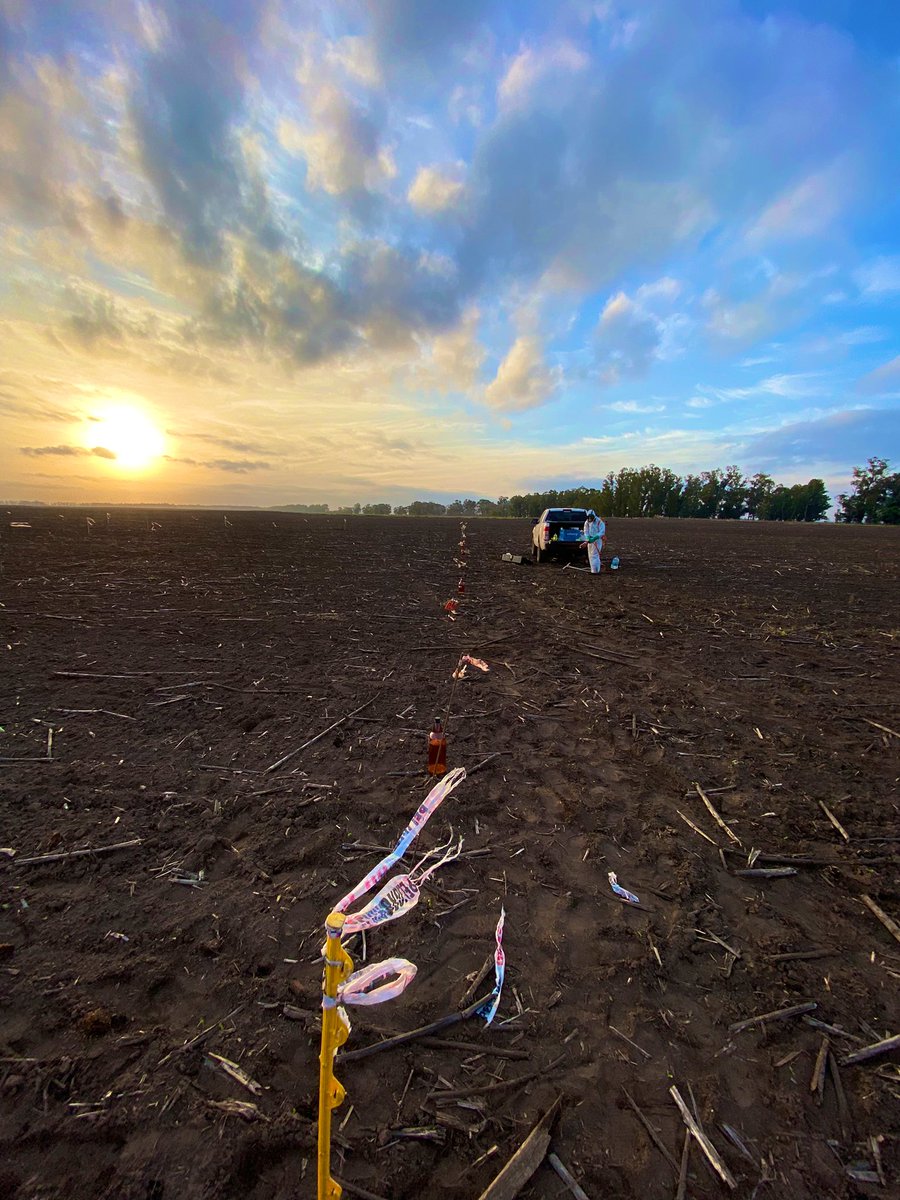 Damian Gopar tweet media