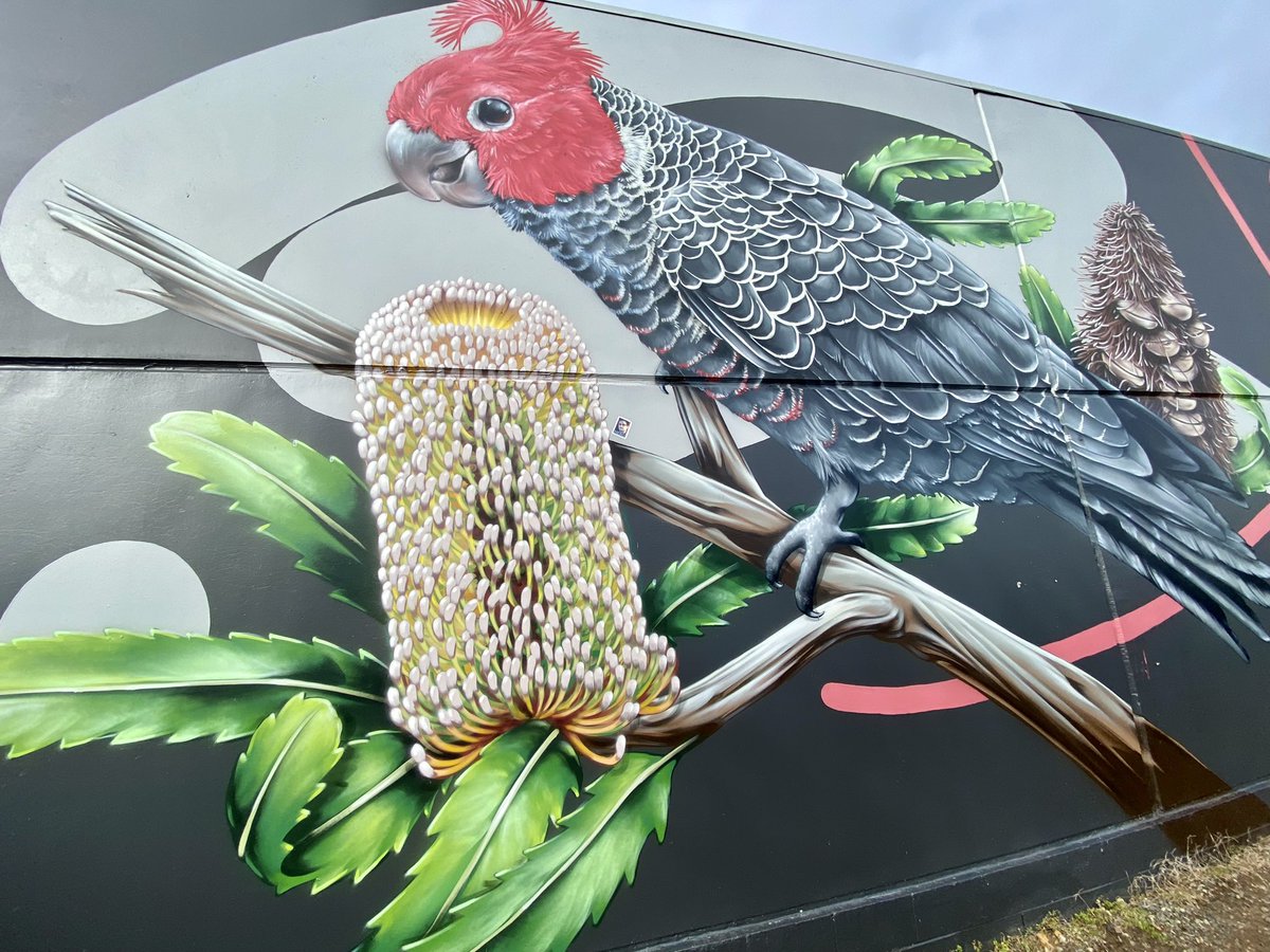 #muralmonday I snapped this on my way to work, in Bowral NSW.