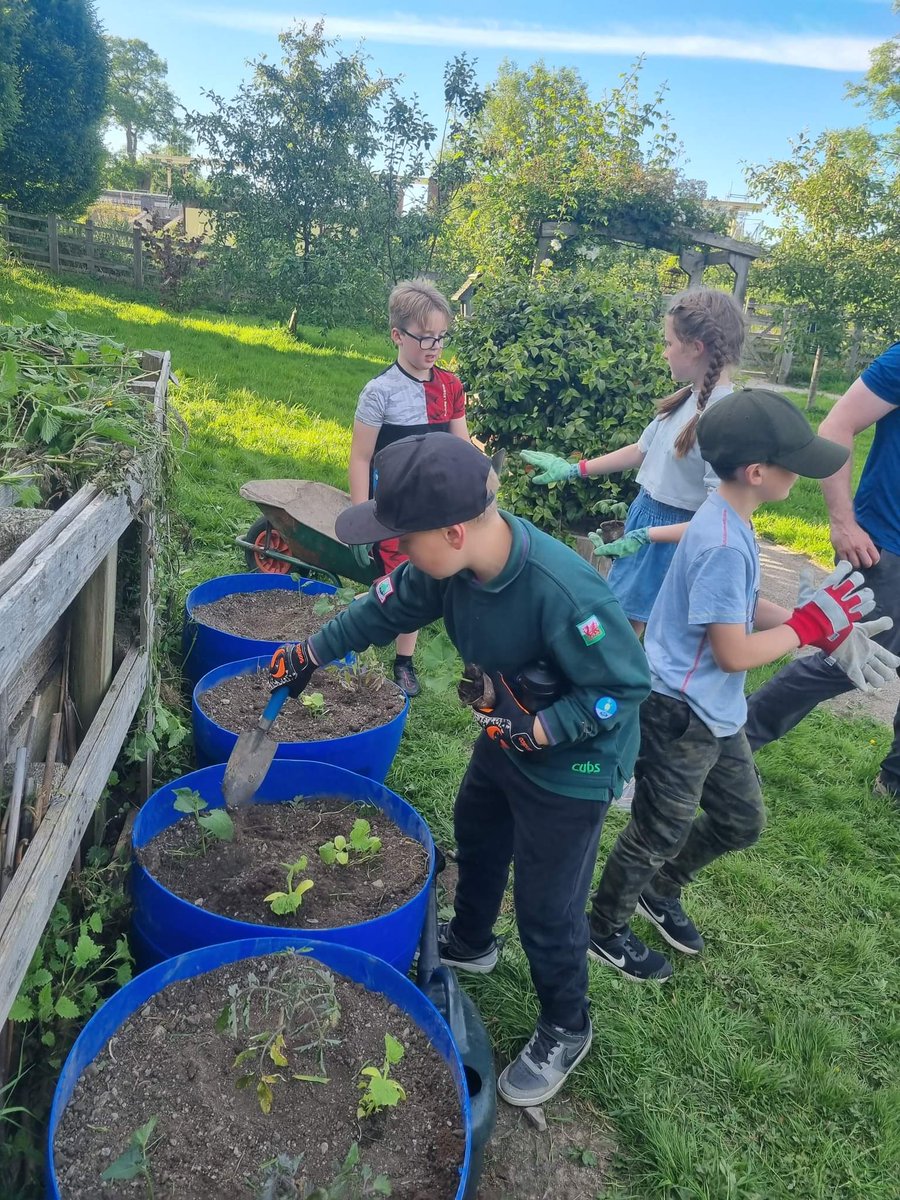Great work this evening by our Cubs and Scouts.  We spent the evening in the community garden, creating planters, then planting them. We then had a tidy around and removed weeds from the footpaths etc. You've all made a real difference. #corwen #community #scouts #skillsforlife