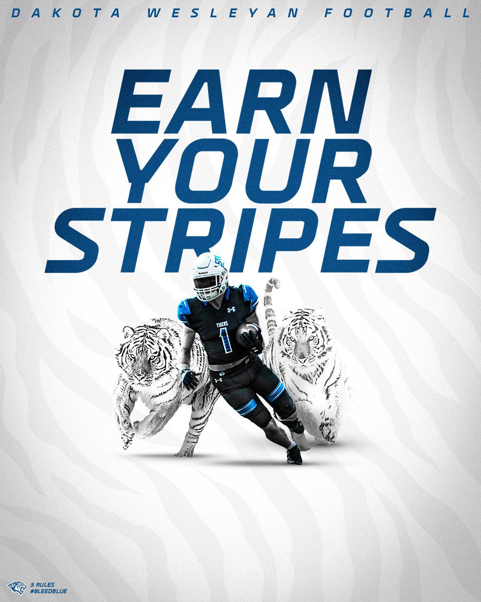 BizonGraphics75's tweet photo. Always fun getting to work with @dwtigerfootball! Proud to help out this program! #BleedBlue #RollTige https://t.co/U4p4mDEc6j