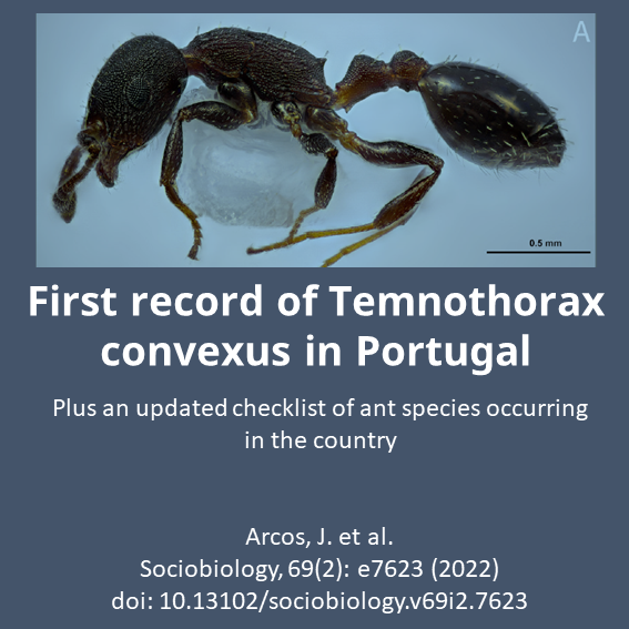Sociobiology12's tweet photo. In this article, the arboreal ant Temnothorax convexus (Forel, 1894) is reported for the first time in Portugal. An  update of the Portuguese ant checklist is provided,  rising the final species number to 132 in the country.
https://t.co/iuMIENf1AN https://t.co/UES5ekI4Kq