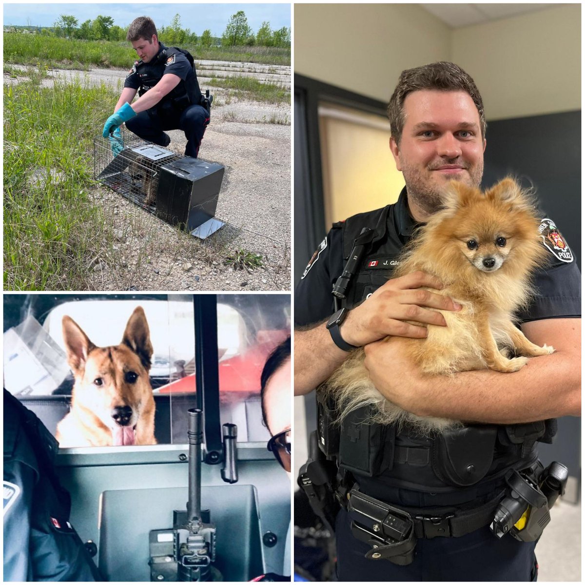 Sometimes they need help out of a tricky situation. Sometimes they need a lift home. And sometimes they need a friendly Officer when they are lost. Serving the community is what we do. Please #GetHomeSafe.  <a href="/ChiefAmbroseOSP/">ChiefAmbroseOSPS</a> <a href="/JFluneyOSPS/">InspectorFluney OSPS</a> <a href="/Insp_DBishop/">Dave Bishop</a> <a href="/OSPApres/">James Boyle</a>