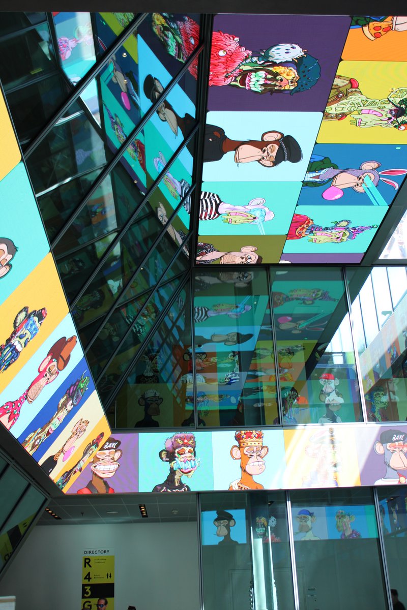 Bored Ape Yacht Club 🍌 tweet media