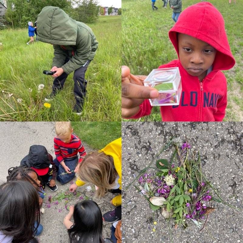 Our Lady of Grace tweet media