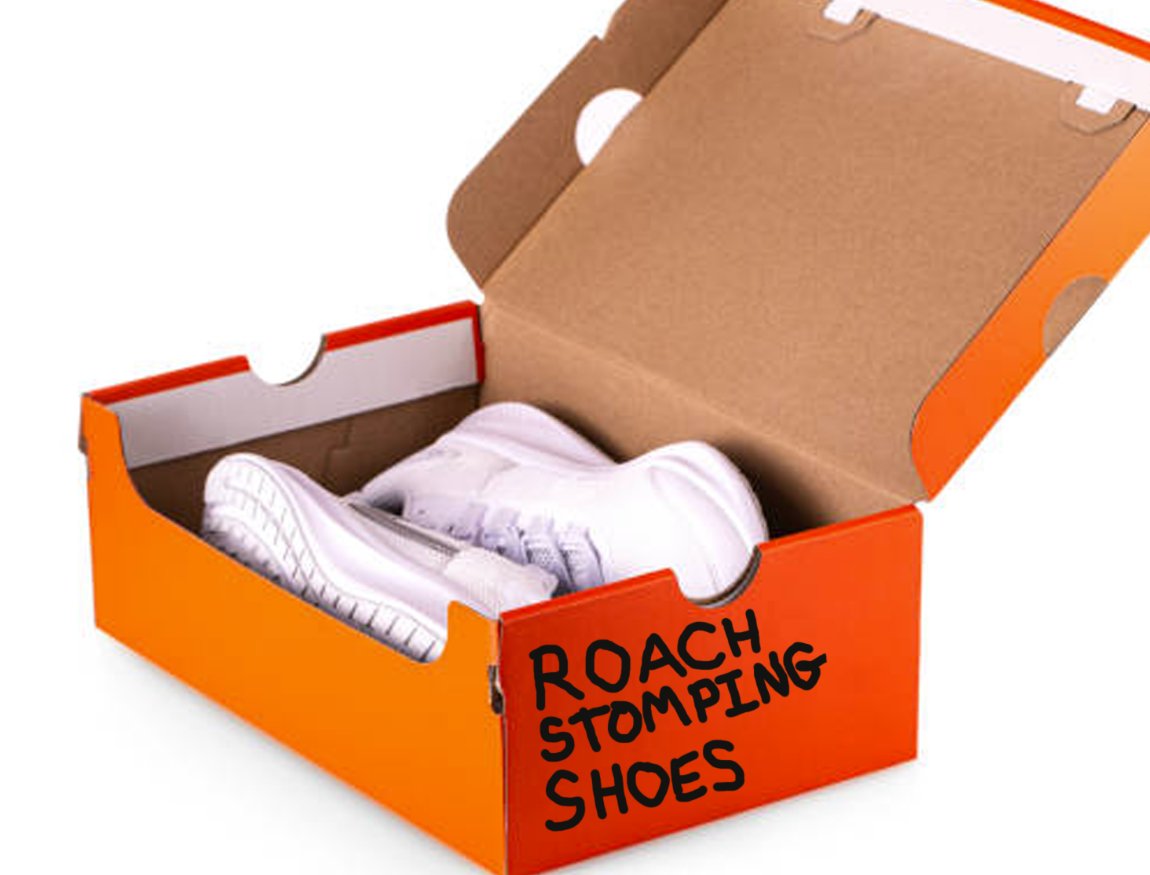 Before you break out your Roach Stomping Shoes™
for some percussive pest control, Call Safer Home Services for Effective and Guaranteed Pest Protection
saferhomeservices.com