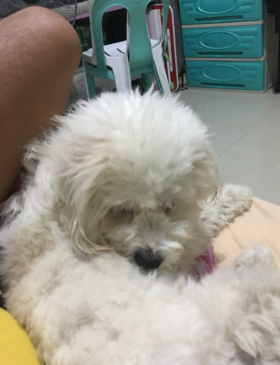 Aerox1899's tweet photo. Goodmorning Nmax💚 maiwan na naman kita. https://t.co/o0xGwpMCEO