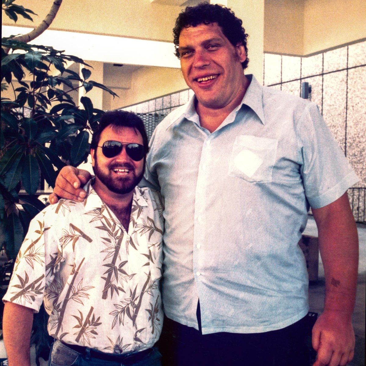 Unsatisfied with the woolly mammoth, <a href="/IOHK_Charles/">Charles Hoskinson</a> brings back the late great Andre the Giant.