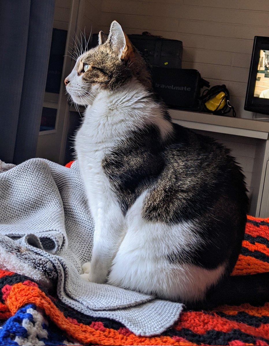 Good morning Twitter fam !! 😻 My mum and I haven't forgotten our friends here !! 🤗🥰 It's just things have been about rough for us !! Anyway we love and miss everyone !! 😻🤗🥰 Please don't hold our absence against us !! 🙏 Have a beautiful day hugs !! 😻🤗