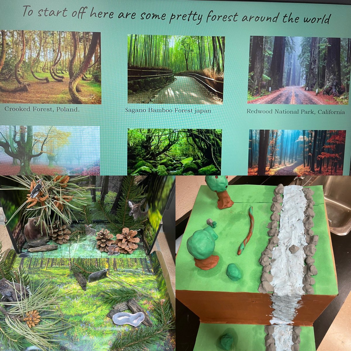 Mrs_Davidsclass's tweet photo. Grade 7 Ecosystem projects. Excellent models! So creative. https://t.co/RSDjm93Wiv