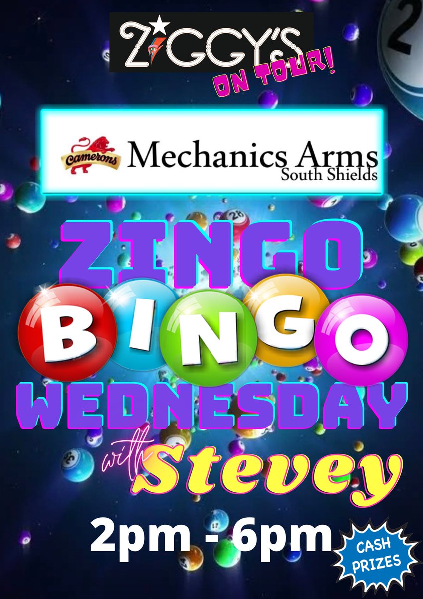 ZiggysBarSS's tweet photo. Oooooh….ZINGO BINGO IS BACK!
#SouthShields this Wednesday @Stevey_Panto returns with a fun-filled afternoon jam packed with CASH PRIZES!!! Only this time it’s at @MechanicsArms from 2pm! We’ll see you there! https://t.co/cMcd1hOrdq